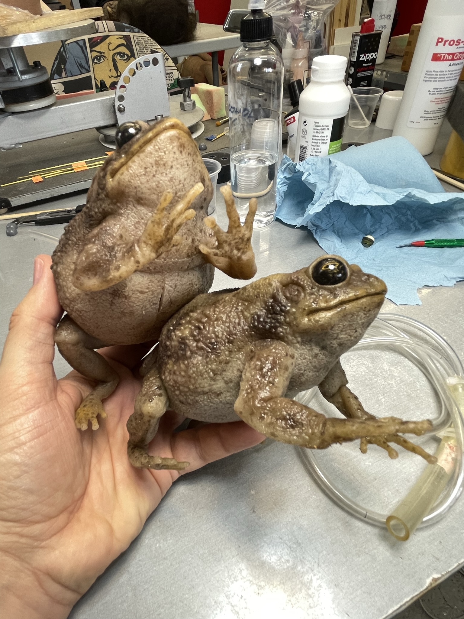 Ranas animatrónicas para Obayifo