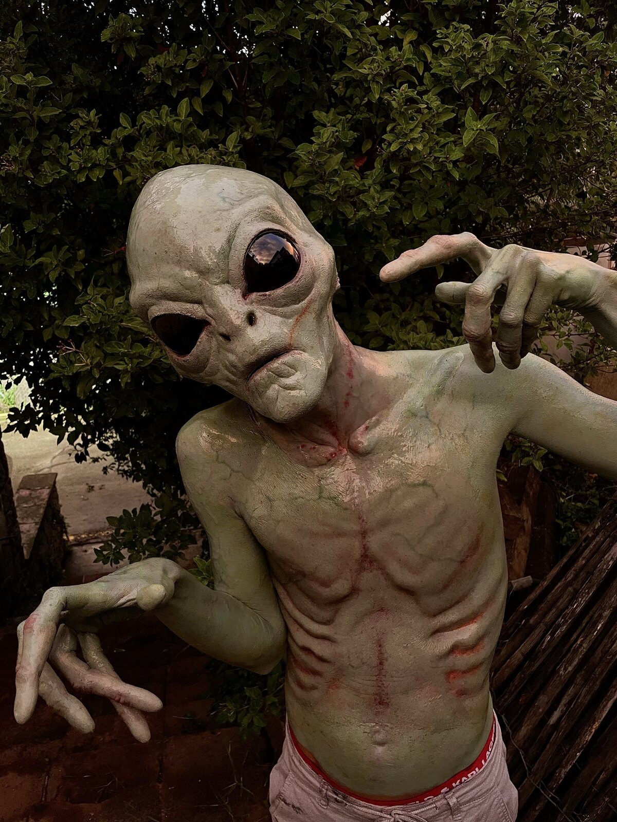 Criatura alienígena de La Mesías